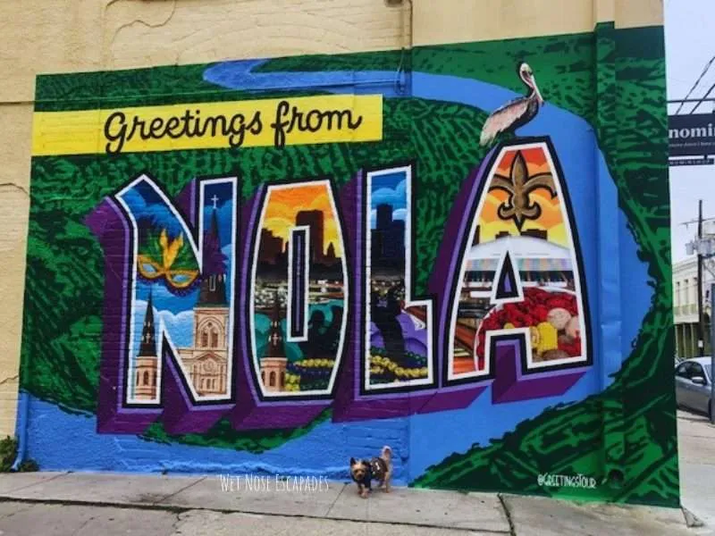 10 Things to do in New Orleans, LA with Your Dog