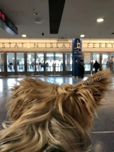 can you bring a dog on the staten island ferry