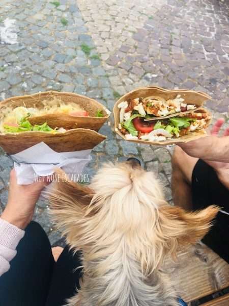 Pet Friendly Paris: Things to do in Paris with your Dog – Dont