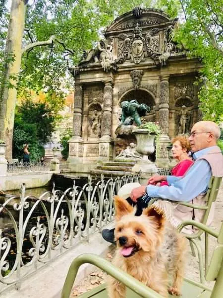 Pet Friendly Paris: Things to do in Paris with your Dog – Dont