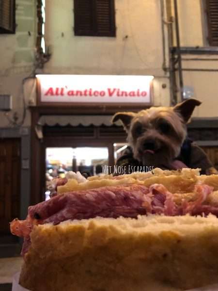 Florence, Italy with Your Dog: What to Know Before You Go