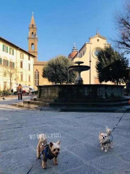 Florence, Italy with Your Dog: What to Know Before You Go
