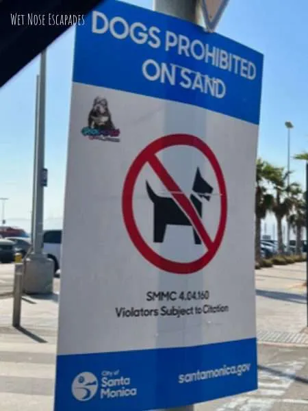 is santa monica dog friendly