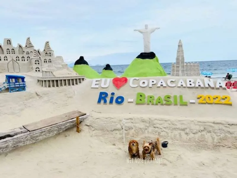 brazil with two dogs, copacabana