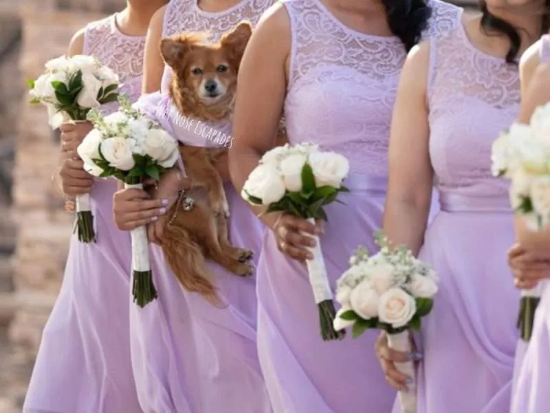 Holy crap, My sister was a bridesmaid and looked ridiculous…