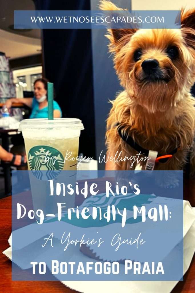 Dog friendly mall near 2024 me