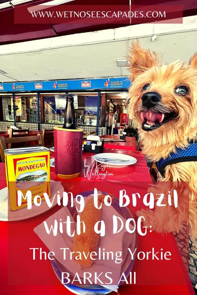 travelling to brazil with dog