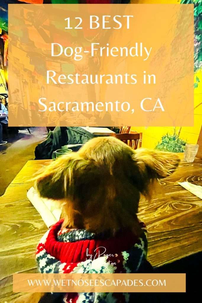 12 BEST Dog-Friendly Restaurants in Sacramento, CA