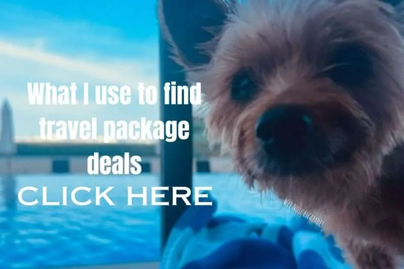 dog friendly travel packages