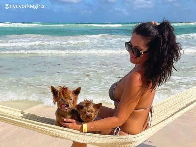 dog-friendly Caribbean Mexico