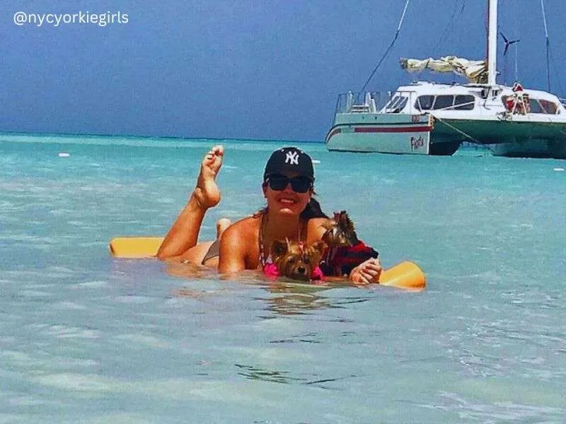 Traveling to the Caribbean with Your Dog