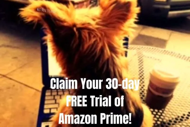 30 day free trial amazon prime