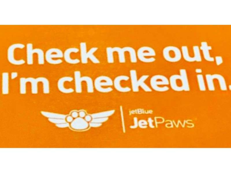 Jetblue pet health clearance certificate