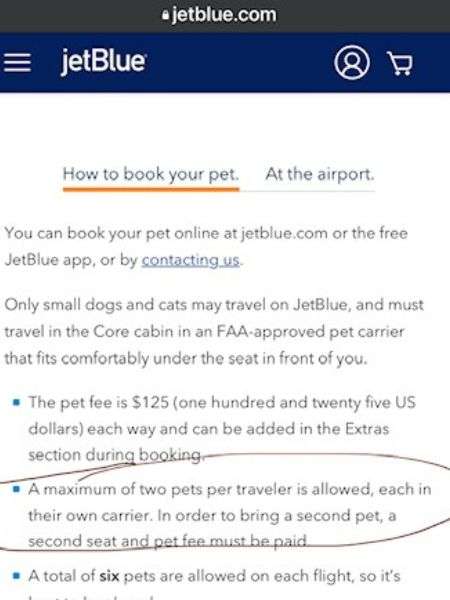 Jetblue hotsell pet fee