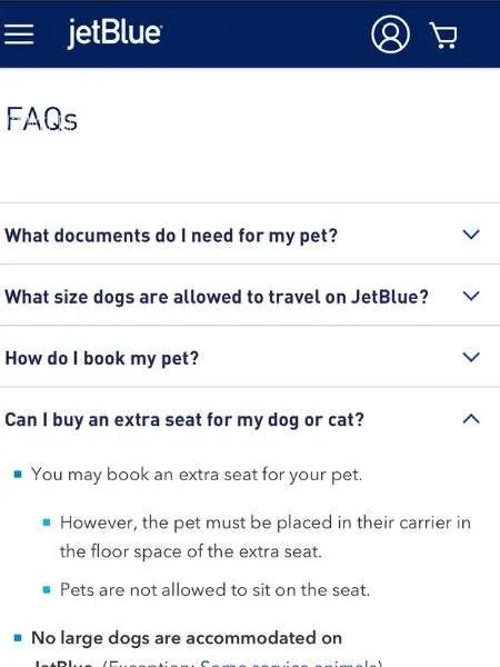 Jetblue dog 2024 travel policy