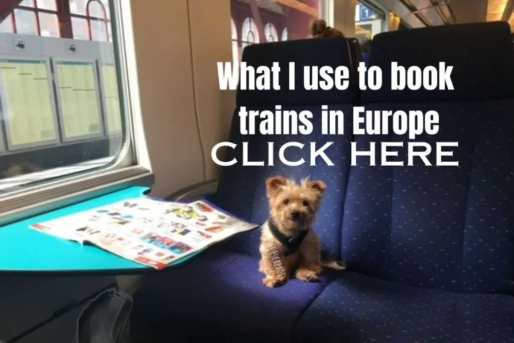 Why Does Your DOG Keep Wanting to go in the CRATE? 7 Reasons Why Your